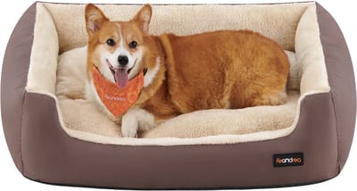 Feandrea - Hondenmand - Hondenbed met Omkeerbaar Kussen - Comfortabel - Voor Huisdieren
