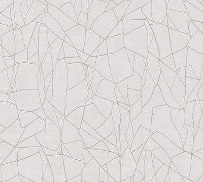 3D BEHANG | Grafisch - Grijs Wit - A.S. Création French Affair
