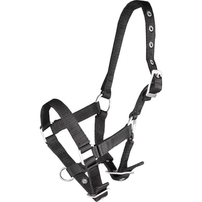 HALSTER BASIC VEULEN | Pony zwart