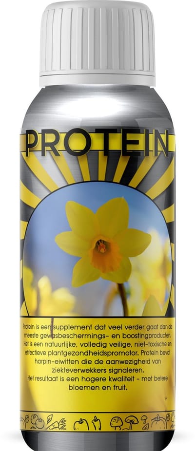 Mabio Protein
