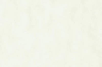 UNI BEHANG - Beige Creme - AS Creation COZZ