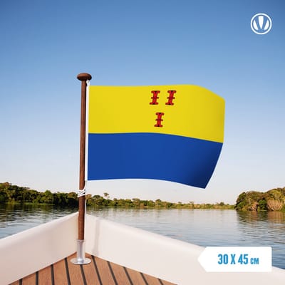 Vlag Barneveld 30x45cm