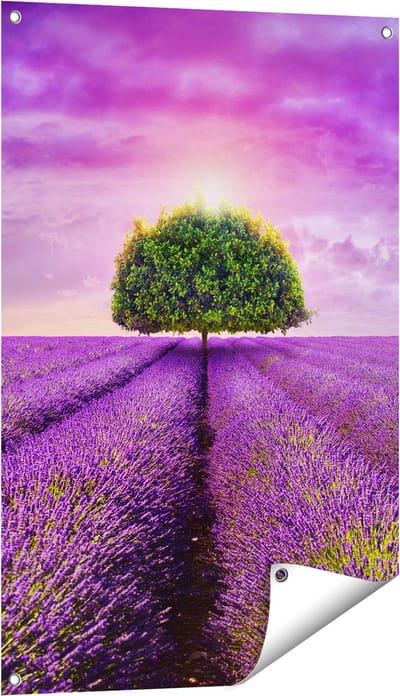 Gards Tuinposter Groene Boom in de Lavendel Bloemen - 60x90 cm - Tuindoek - Tuindecoratie - Wanddecoratie buiten - Tuinschilderij