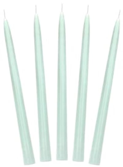 Taper kaarsen - taps toelopend - 24 cm - Matt Salie - Pack van 10 - Perfect voor bruiloften en decoratie