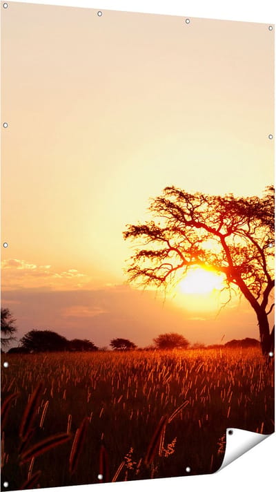 Gards Tuinposter Zonsondergang Achter een Acacia Boom - 120x180 cm - Tuindoek - Tuindecoratie - Wanddecoratie buiten - Tuinschilderij