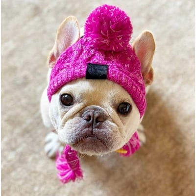 Hondenmuts voor Franse Bulldog Chihuahua Warme Hondenhoofddeksel Puppykostuum ChatPet Accessoires Dropshipping L