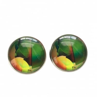 Oorbellen natuurlijke kleuren groen-steker -17.5 mm- Charme Bijoux