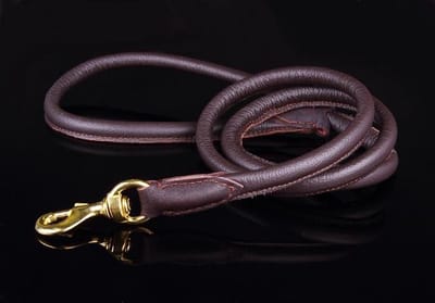 Dog's Companion - Leren Hondenriem - Lengte: 180 cm x 12 mm - Bruin - Messing