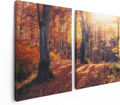 Artaza Canvas Schilderij Tweeluik Oranje Herfstbos Met Zonneschijn - 120x80 - Foto Op Canvas - Canvas Print