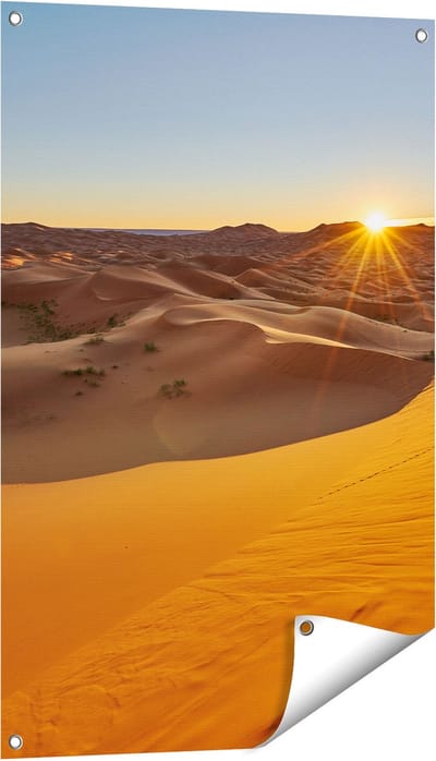 Gards Tuinposter Woestijn in de Sahara met een Opkomende Zon - 60x90 cm - Tuindoek - Tuindecoratie - Wanddecoratie buiten - Tuinschilderij