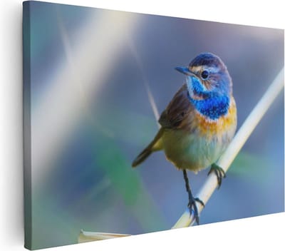 Artaza Canvas Schilderij Vogel Op Tak - 30x20 cm - Klein - Wanddecoratie Dieren - Muurdecoratie Woonkamer - Kamer Accessoires