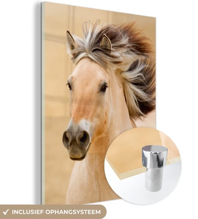 MuchoWow® Glasschilderij 30x40 cm - Schilderij acrylglas - Paarden - Dieren - Manen - Portret - Foto op glas - Schilderijen