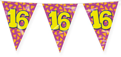LUQ – Vlaggenlijn Happy Party 16 Jaar – Veelkleurig – 10 m Luxe Verjaardag Feest Versiering – Slinger – Direct Ophangen