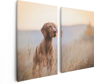 Artaza Canvas Schilderij Tweeluik Hongaarse Vizsla Hond In Het Gras - 80x60 - Foto Op Canvas - Canvas Print