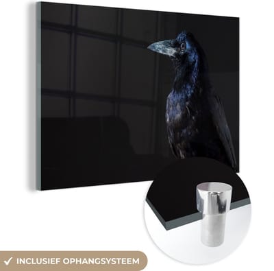 MuchoWow® Glasschilderij 120x80 cm - Schilderij acrylglas - Vogel - Dieren - Zwart - Foto op glas - Schilderijen