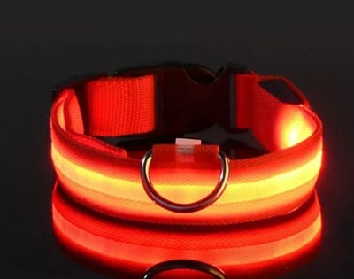 Rieba® Halsband Hond LED USB Oplaadbaar - Lichtgevende Hondenhalsband - 3 Standen - Lichtgevend - Zeer Sterk - Verstelbaar - Geschikt voor elke Hondenriem - Honden - Inclusief Oplaadkabel - Rood - XS