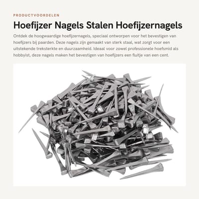 Dailygoods- Hoefijzernagels 250 Stuks - Stalen Nagels - Duurzaam - Eenvoudig te gebruiken - Hoge treksterkte - Stabiele prestaties - Paardennagels
