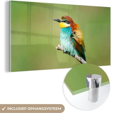 MuchoWow® Glasschilderij 40x20 cm - Schilderij acrylglas - Vogel - Dieren - Bijeneter - Foto op glas - Schilderijen