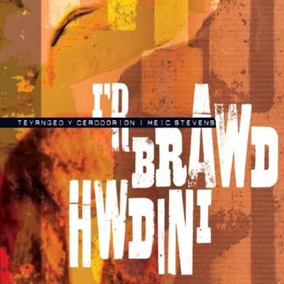 Various Artists - Y Brawd Hwdini (CD)