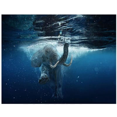 Diamant borduurwerk olifant zwemmen diamant mozaïek woonkamer decor kruissteek 20X30CM gray