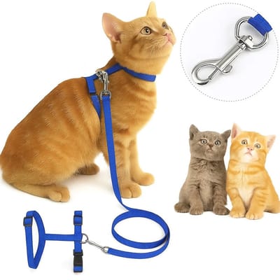 Kattentuigje Met Nylon Looplijn I Kittentuigje I Kitten Tuig I Verstelbeer I Kattenharnas I Dierentuigje I Blauw