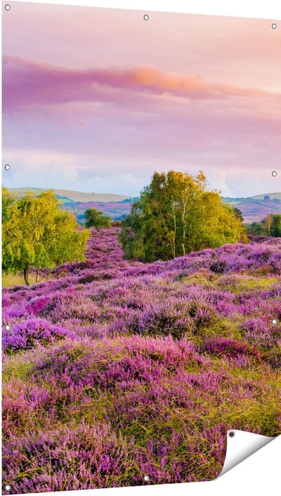 Gards Tuinposter Paarse Weide - 100x150 cm - Tuindoek - Tuindecoratie - Wanddecoratie buiten - Tuinschilderij