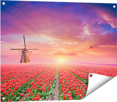 Gards Tuinposter Rode Rozen Bloemenveld met een Windmolen - 80x60 cm - Tuindoek - Tuindecoratie - Wanddecoratie buiten - Tuinschilderij