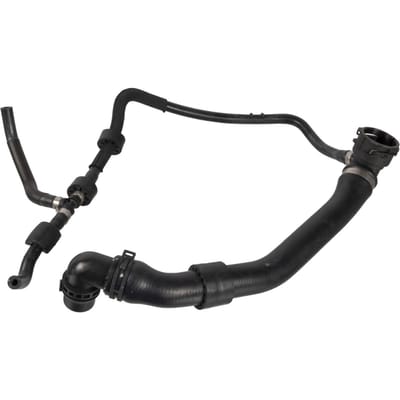 Radiateurslang FEBI BILSTEIN 171425