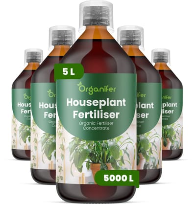 Vloeibare Meststof Voor Kamerplanten 5X1 Voor 5000 L - Npk 2-1-8 - Ondersteunt Een Evenwichtige Groei Van Kamerplanten - Versterkt Wortelactiviteit En Verbetert Nutriëntenopname -Verbetert Bladkleur, Dichtheid En Stevigheid - Organifer