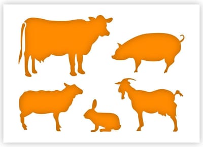 QBIX Boerderij Dieren Sjabloon A5 Formaat Kunststof - Varken is 8,3cm breed