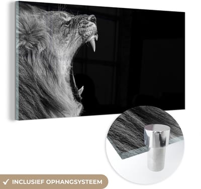 Glasschilderij - Dieren - Leeuw - Natuur - Zwart-wit - Acrylglas - Foto op glas - Schilderijen woonkamer - 120x60 cm - Schilderij leeuw - Wanddecoratie glas - Muurdecoratie