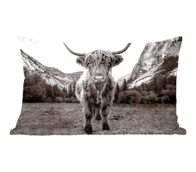 Sierkussens - Kussentjes Woonkamer - 50x30 cm - Berg - Zwart - Wit - Schotse Hooglander