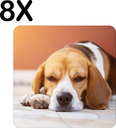 Luxe Placemat - Liggende Beagle Puppy - Set van 8 Placemats - 50x50 cm - 2 mm dik Vinyl - Anti Slip - Afneembaar