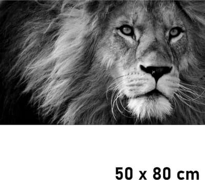 Allernieuwste.nl® Canvas Schilderij Leeuwenkop Met Manen - Kunst aan je Muur - Modern - Kleur - 50 x 80 cm