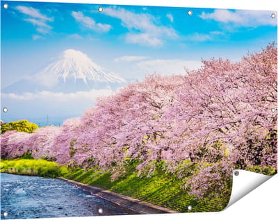 Gards Tuinposter Roze Bloesembomen bij de Fuji Berg - 120x80 cm - Tuindoek - Tuindecoratie - Wanddecoratie buiten - Tuinschilderij