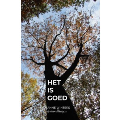 Het Is Goed - Anne Winters