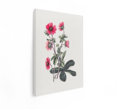 Artaza Canvas Schilderij Bloemen - 90x120 cm - Wanddecoratie Botanische Illustratie - Muurdecoratie Vintage - Decoratie Roze Bloem
