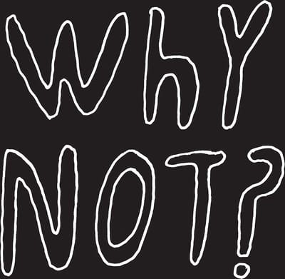 1/2 Japanese - Why Not? (CD)