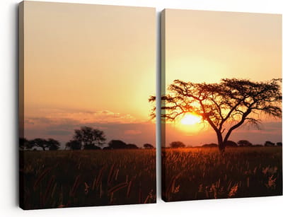 Artaza Canvas Schilderij Tweeluik Zonsondergang Achter Een Acacia Boom - 180x120 - Groot - Foto Op Canvas - Canvas Print