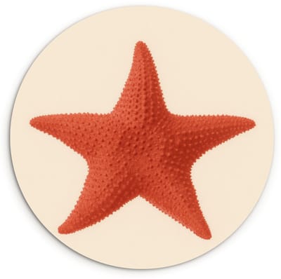 WallCircle® Wandcirkel 120x120 cm - Muurcirkel Zeester - Bobbels - Rood - Muurdecoratie woonkamer - Wanddecoratie slaapkamer - Kamer decoratie accessoires - Ronde schilderijen XXL