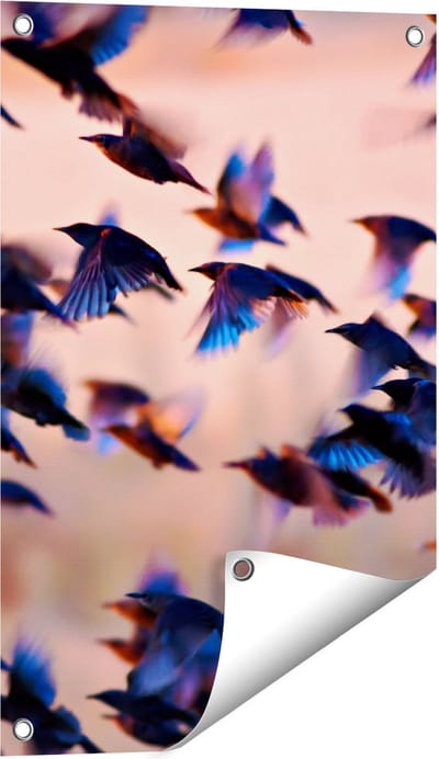 Gards Tuinposter Groep Vliegende Blauwe Spreeuw Vogels - 40x60 cm - Tuindoek - Tuindecoratie - Wanddecoratie buiten - Tuinschilderij
