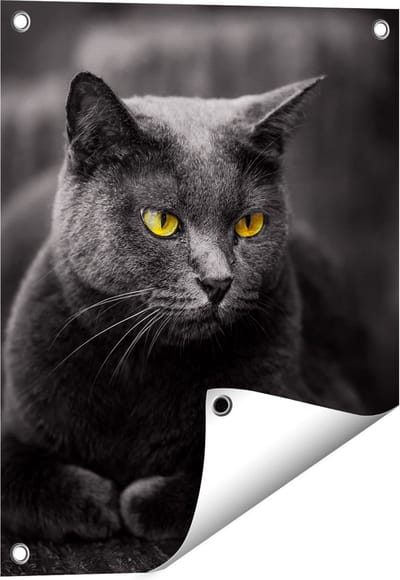 Gards Tuinposter Zwarte Kat met Gele Ogen - 40x50 cm - Tuindoek - Tuindecoratie - Wanddecoratie buiten - Tuinschilderij