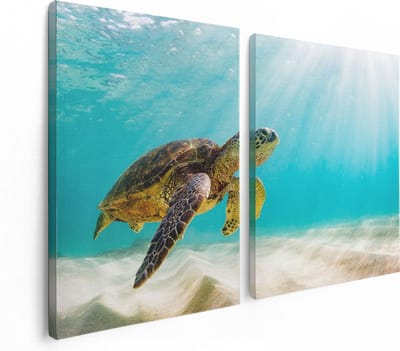 Artaza Canvas Schilderij Tweeluik Schildpad Zwemt in de Helder Blauwe Zee - 120x80 - Foto Op Canvas - Canvas Print