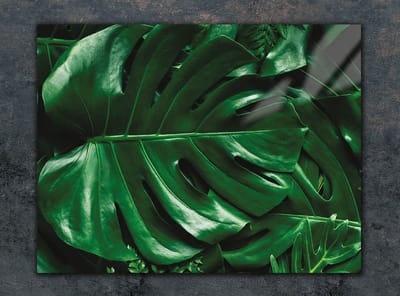 TMK ArtDeko - Snijplank - 30x22 cm - Monstera - Glas - Hartvormig