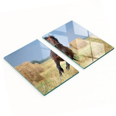 Decoratieve glazen snij- en serveerplanken met galopperend paard, 2x40x52 cm