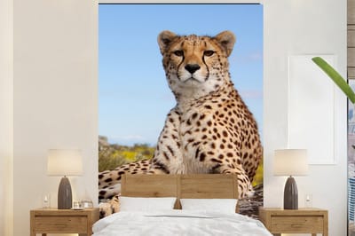 Behang - Fotobehang Luipaard - Dieren - Natuur - Breedte 225 cm x hoogte 350 cm