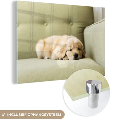 ® Glasschilderij 180x120 cm - Schilderij acrylglas - Een slapende Golden Retriever puppy op de bank - Foto op glas - Muurdecoratie woonkamer - Wanddecoratie slaapkamer - Schilderijen
