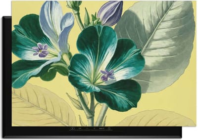 KitchenArt - Botanical Glow – Inductie Beschermer - 90x50 cm - Kookplaat Beschermer - Luxe Afdekplaat Inductieplaat - Anti-slip & Oprolbaar - Beschermmat Inductiekookplaat