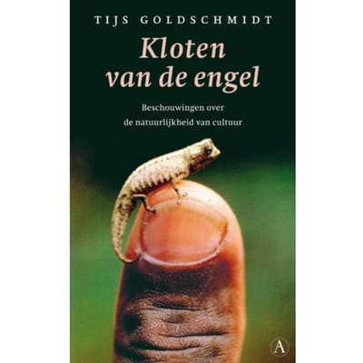Kloten Van De Engel - T. Goldschmidt