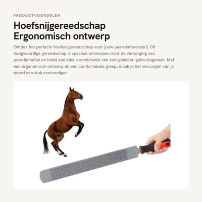 Dailygoods- Hoefsnijgereedschap stevig - Koolstofstaal - Ergonomisch design - Comfortabele greep - Totale lengte 47 cm - Gewicht 780 g - Paardenvijl